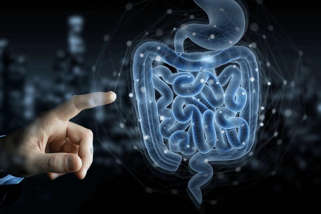 finger pointing to a rendition of the small and large intestinal system on a black background.