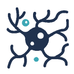 Neurology Icon