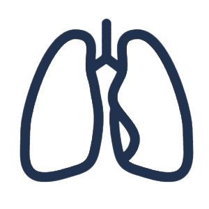 Pulmonary Icon